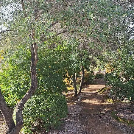 De Charme Avec Piscine Entre Ajaccio Et Porticcio * Eccica-Suarella (Corsica)
