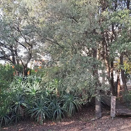 De Charme Avec Piscine Entre Ajaccio Et Porticcio * Eccica-Suarella (Corsica)