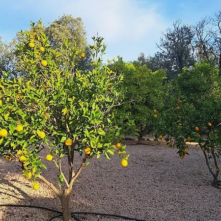 De Charme Avec Piscine Entre Ajaccio Et Porticcio Villa Eccica-Suarella (Corsica)